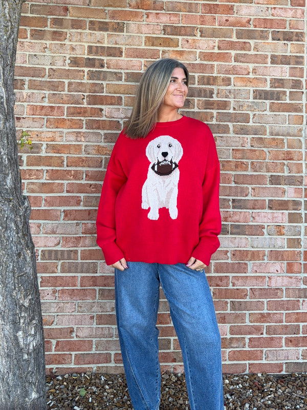 PUPPY GAMEDAY SWEATER
