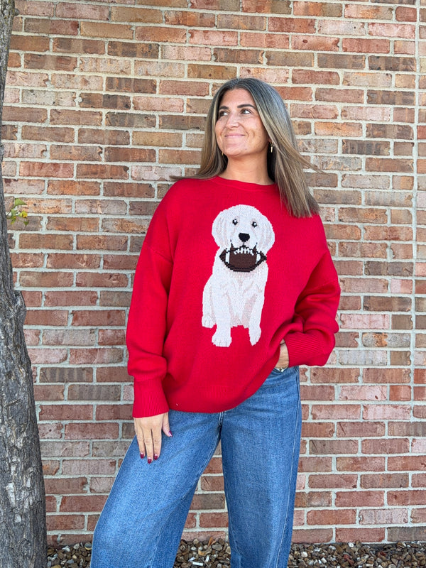 PUPPY GAMEDAY SWEATER