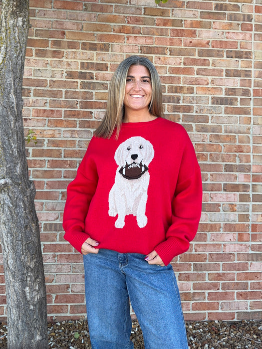 PUPPY GAMEDAY SWEATER