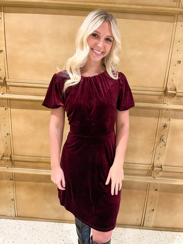 CRANBERRY VELVET DRESS