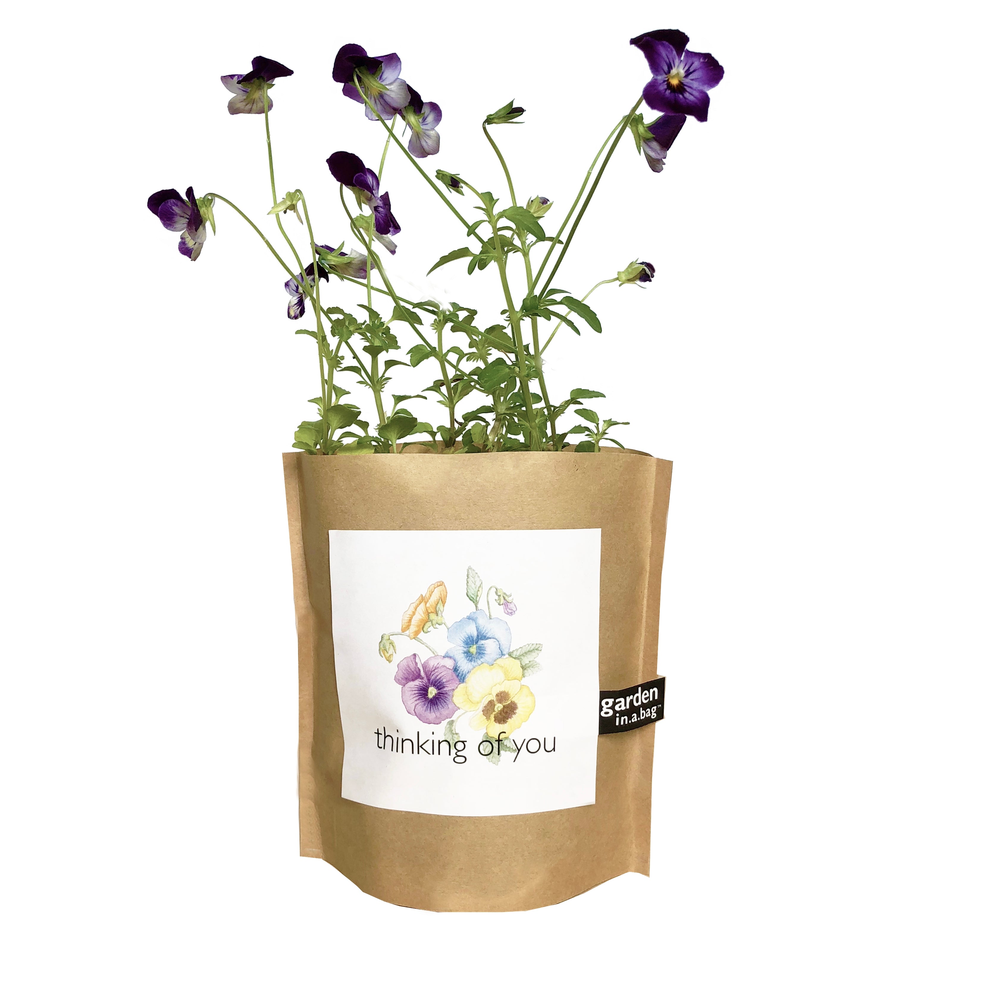 GARDEN IN A BAG: THINKING OF YOU