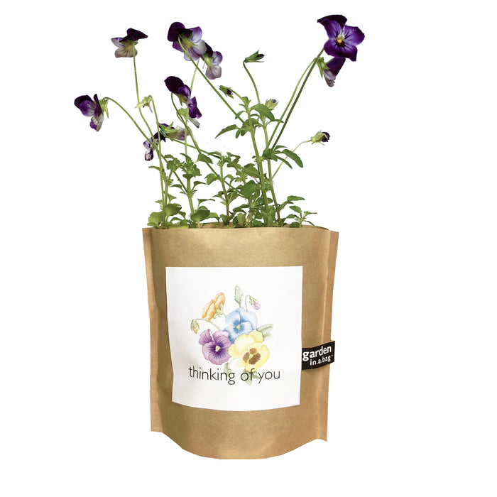 GARDEN IN A BAG: THINKING OF YOU
