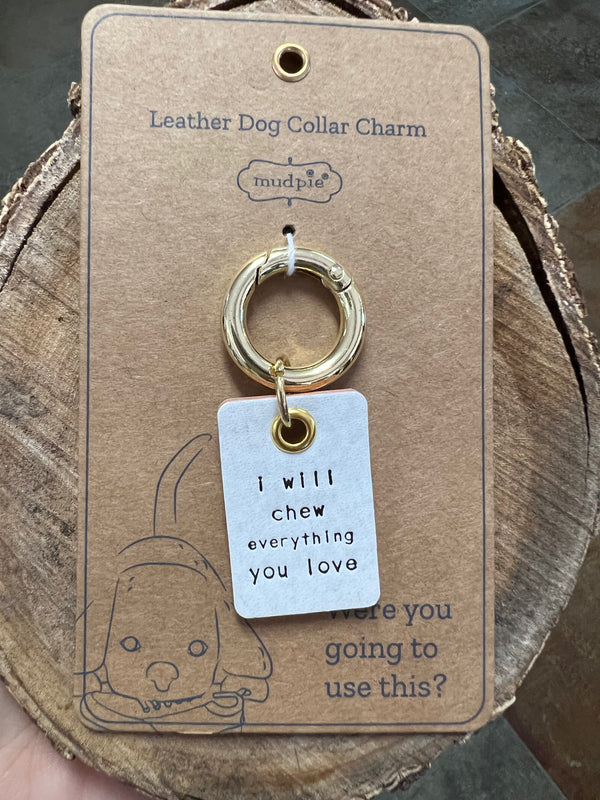 LEATHER PET CHARM